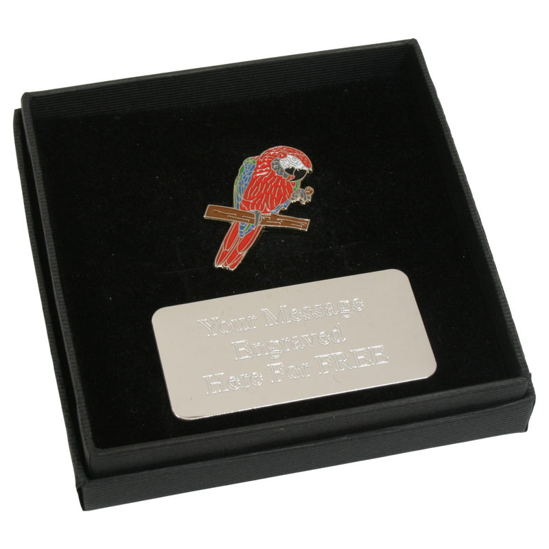 Macaw Parrot Gift Box