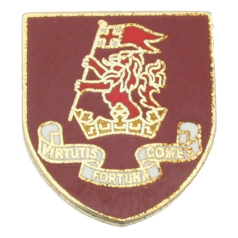 Duke Of Wellington Pin Badge