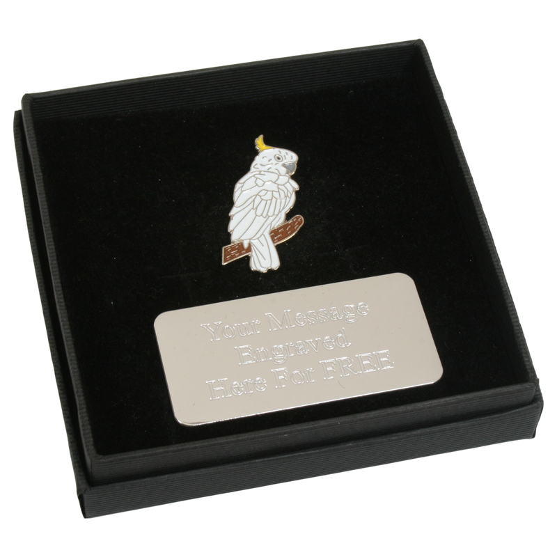 Grey Parrot Gift Box