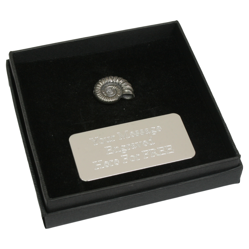 Fossil English Pewter Pin Badge, Tie Slide & Cufflinks
