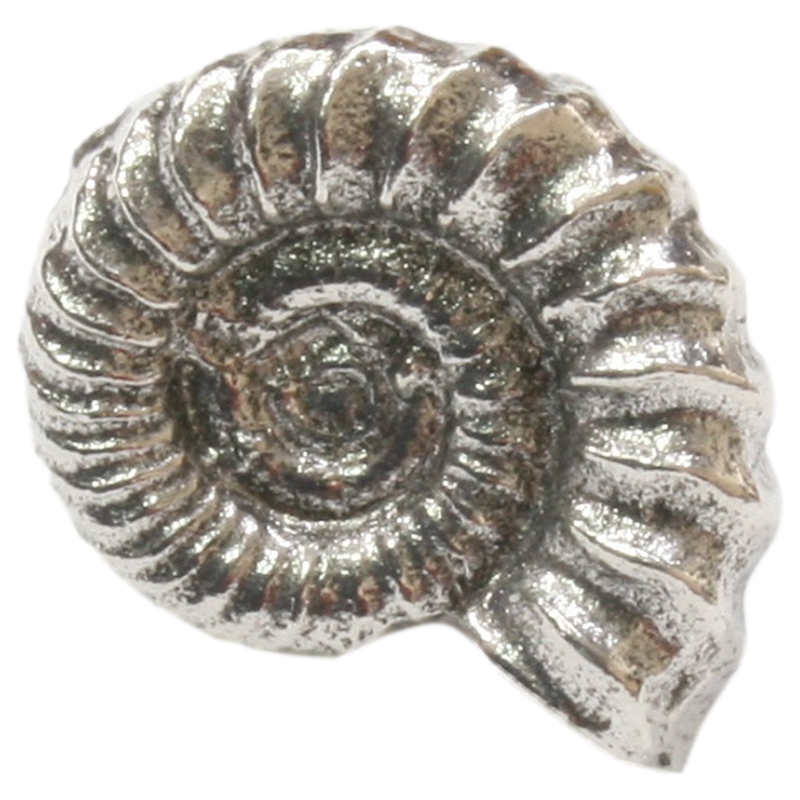Fossil Badge