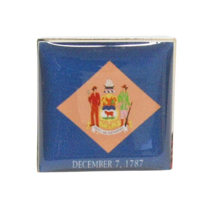 DELAWARE Pin Badge
