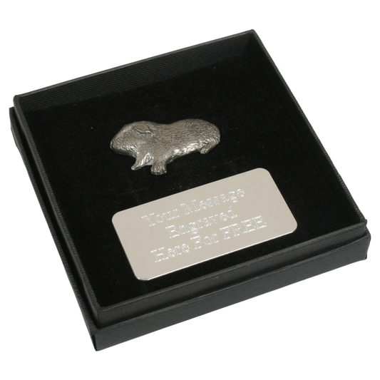 Guinea Pig Pewter Pin Badge With Cufflinks & Tie Slide Option