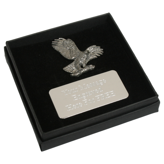 Eagle Landing Cufflinks Pin Badge and Tie Slide Option